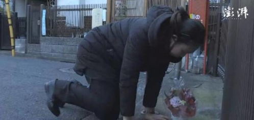 杀妻藏尸案再开庭，真相何时浮出水面？