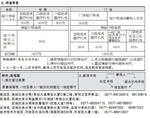 城镇居民基本医疗保险，全面解析与实用指南