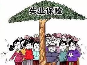 工伤保险缴费全解析，为你的职场安全保驾护航