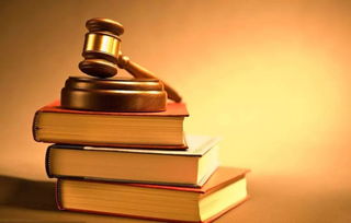 深入解析，一起典型的故意伤害罪案例及其法律后果