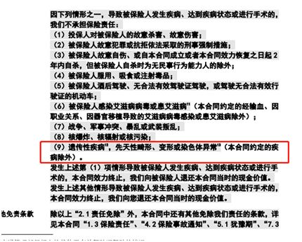 从案例看责任，深度解析人身损害赔偿案件中的法律逻辑与社会价值