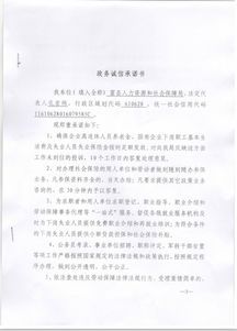 投标保密承诺书，企业诚信与安全的坚固防线