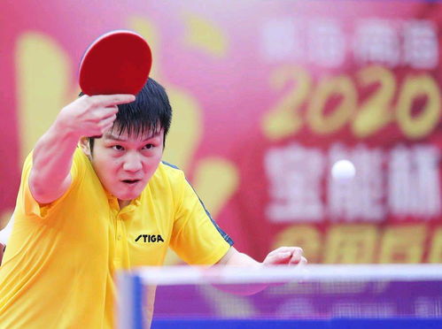 樊振东贴脸开大盛李豪，挑战与超越的体育精神之旅