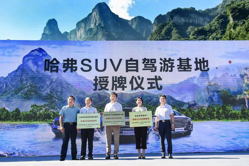 西班牙多地遭遇过度旅游困扰，平衡发展与环境的挑战