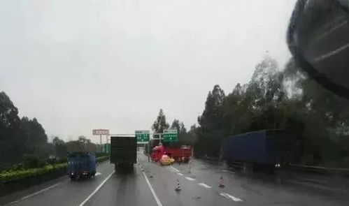 深度调查河北定州交通事故频发，究竟是何原因？