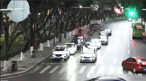 深度调查河北定州交通事故频发，究竟是何原因？