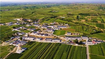 鄂尔多斯违章背后，城市与规则共舞的艺术