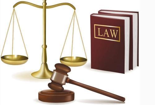 劳动合同书，构建职场关系的法律基石