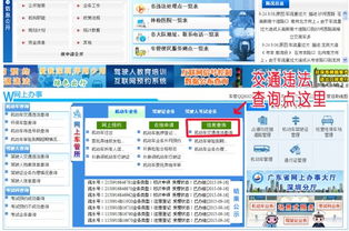 洛阳交通违章查询网，便捷查询，安全出行