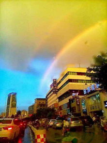 海口一酒店遭遇摩羯之难，风雨中的损失与重建之路