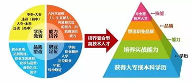 财务守护者，揭秘会计机构负责人如何引领企业稳健前行