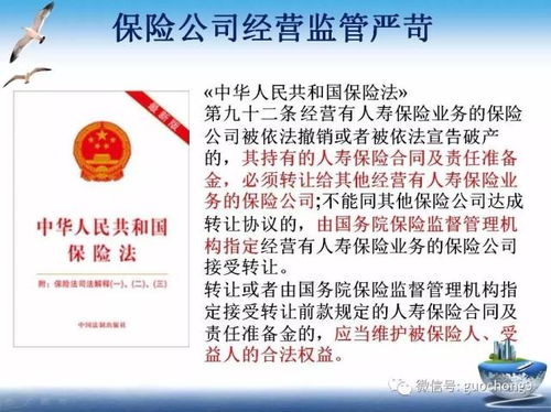 保险法律法规，保障权益，规避风险的法律指南
