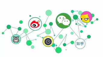 自媒体新手必读，开办费的精明摊销策略