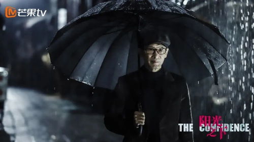 警方征集雷公绿豆犯罪线索，揭开神秘面纱，捍卫正义之光