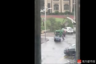 台风下的悲剧，估价高达260万的海口花梨王倒塌记