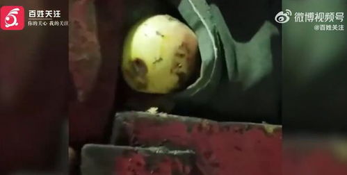 男子举报烂苹果进厂遭恐吓 当地调查