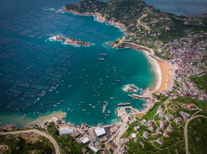 大连地震，城市韧性与人性的光辉