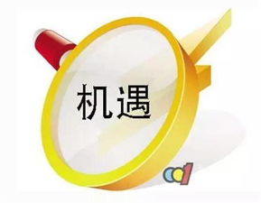 洞悉未来趋势，国家税收政策新解读，助你把握机遇与挑战