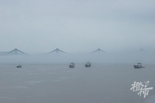 钱塘江水面出现高速不明物，探寻真相与未来展望