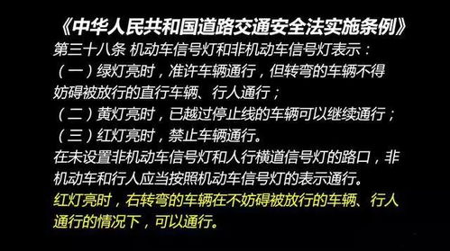 自媒体视角，深度解析闯红灯被撞事件背后的社会责任与法律意识