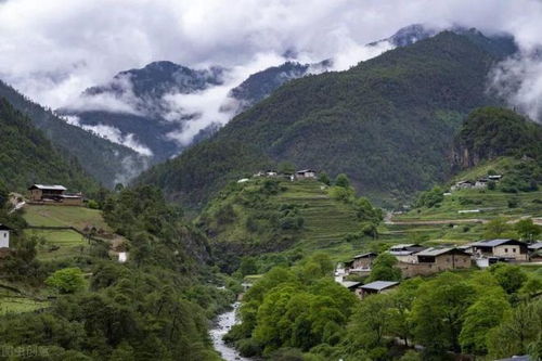 谁是今年出游目的地顶流？