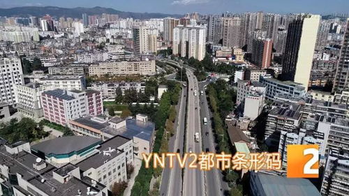 武邑二手房市场，购房者的避风港还是新挑战？