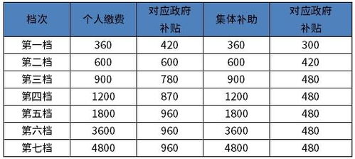 社保要交多少年？揭秘你的退休金计算方式