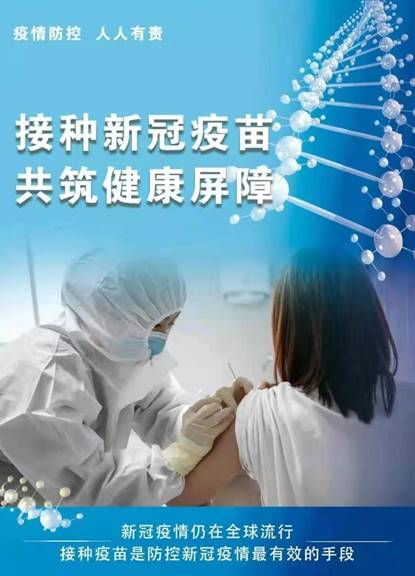 揭开假疫苗事件的真相，责任、监管与公众健康的保卫战