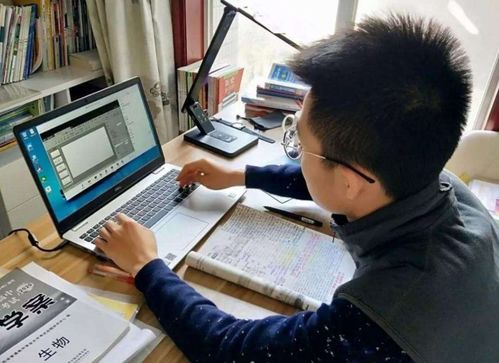 河南两地停课事件，探究背后的原因与影响