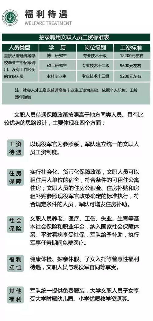 法官职务序列设置暂行规定解读，构建法治社会的基石