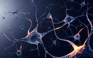 吸食方式中危害最大的是什么？——从科学角度解析各种物质吸入途径的危害