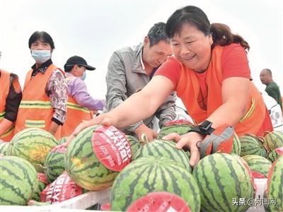 爸爸的爱，打包五十斤冬瓜的温情传递