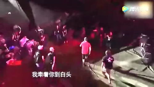 刀郎演唱会全场大合唱情人，音乐的魅力与情感的共鸣