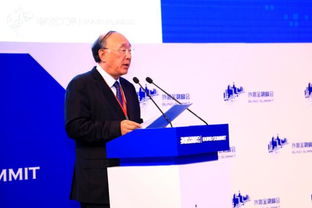 刘世锦建议推出十万亿经济刺激计划，重塑经济格局，激发增长新动力