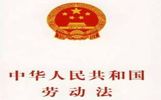 新劳动法实施细则解读，企业与员工的双赢之道