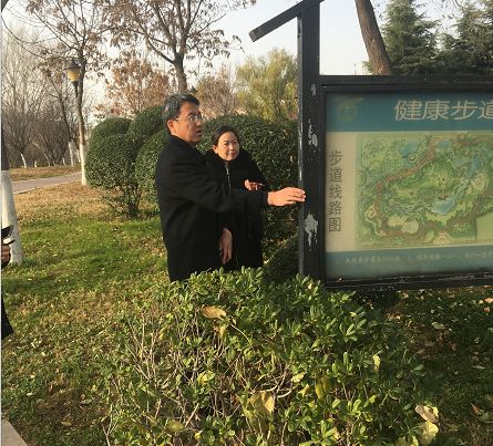 曾投保1000万的枫王被游客折枝，文明观赏与自然守护