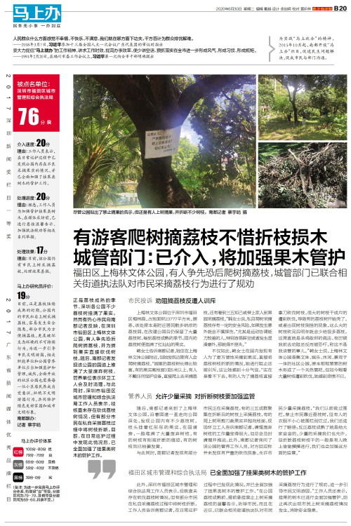 曾投保1000万的枫王被游客折枝，文明观赏与自然守护