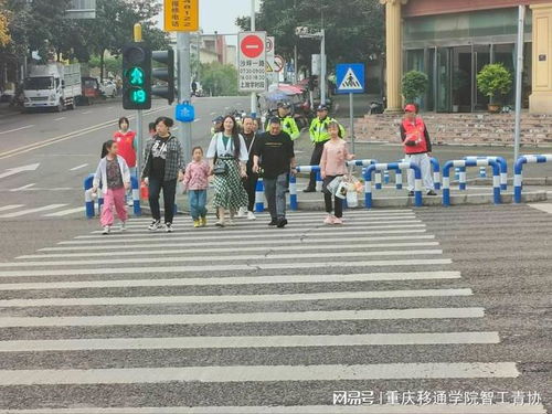 荆门行，安全第一 —— 荆门市交通规则与文明出行指南