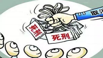 自媒体深度解析，交通肇事逃逸后的法律与道德拷问——如何保障受害者权益