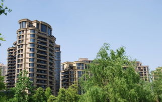 回迁房能买吗？——深度解析回迁房的利弊与购买指南