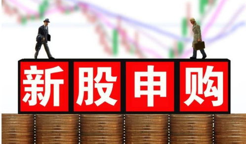 申购新股全攻略，轻松掌握新股申购的每一步