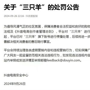 三只羊旗下账号停播事件，平台敦促赔付，维护正义与公平