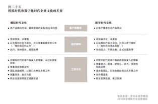 网站运营指南，如何确保你的网站在美国法律框架下安全运行