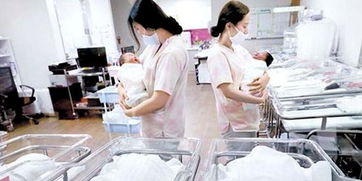 韩国菲佣计划泡汤？探究背后的真相与影响