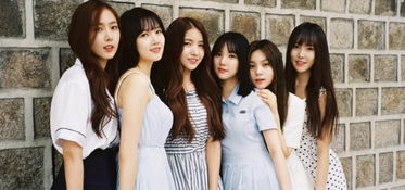 韩国菲佣计划泡汤？探究背后的真相与影响