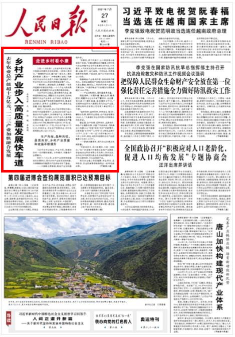 从悲剧中寻找光明——探讨城市公共安全与责任归属