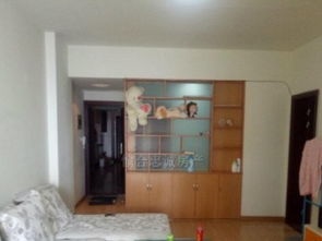 租房攻略郑州房屋租赁全解析——如何在繁华都市找到你的温馨小窝