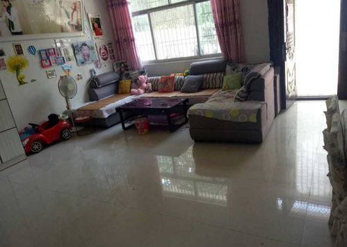 租房攻略郑州房屋租赁全解析——如何在繁华都市找到你的温馨小窝