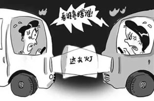 轿车避幼童致2死，一场悲剧背后的反思与责任探讨