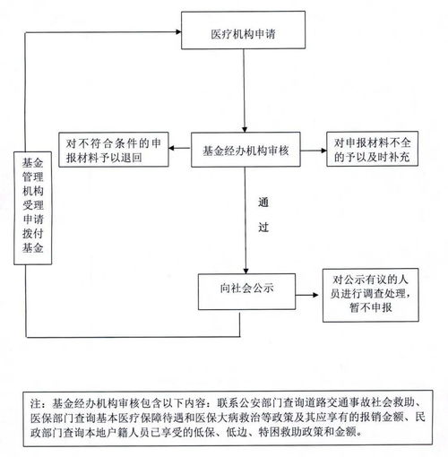 哪些疾病属于大病救助范畴？解读国家政策与实际应用